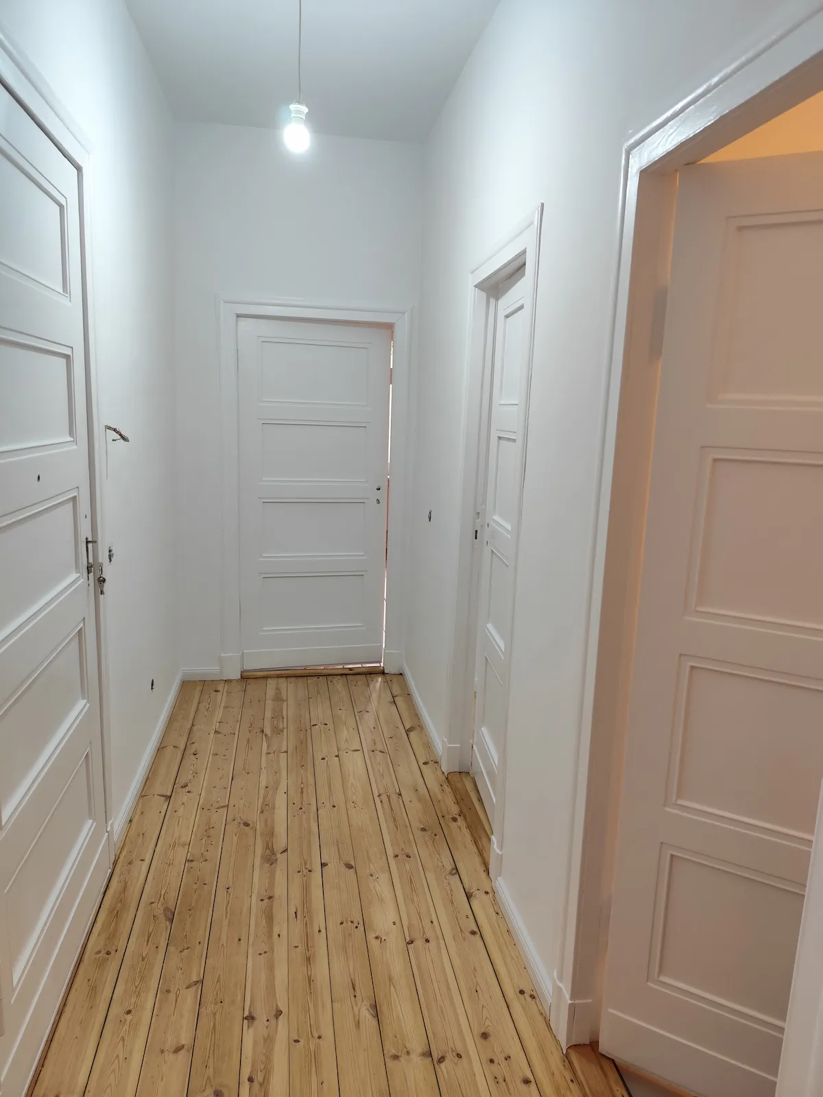 Altbauflur renoviert Berlin Adlershof